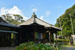 夏の松尾観音寺