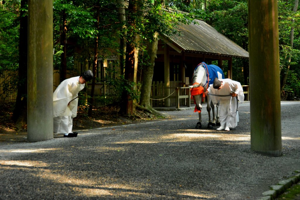 外宮　神馬