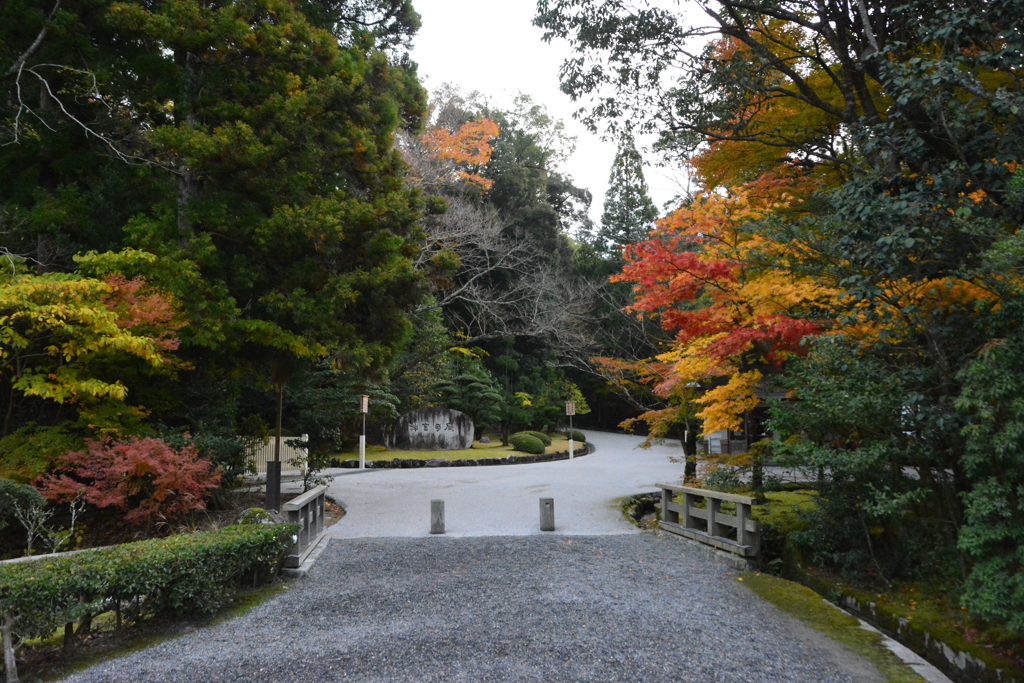 伊勢神宮　神宮司庁　紅葉