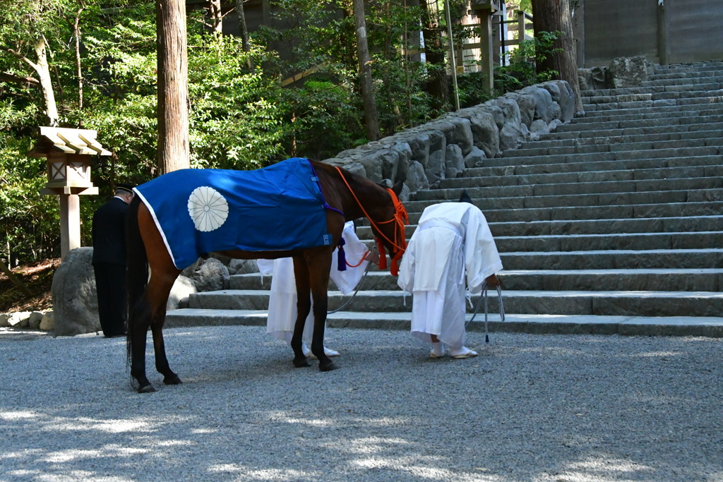 内宮　神馬