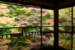 瑠璃光院　紅葉