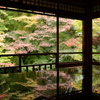瑠璃光院　紅葉