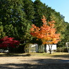 飯高　宮前農村公園