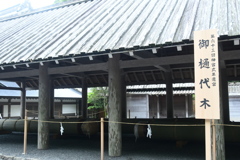 御樋代木　ご用材