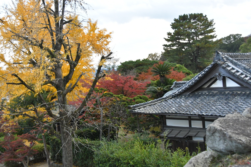 秋の松阪城跡