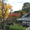 秋の松阪城跡