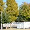 塩浜公園の紅葉