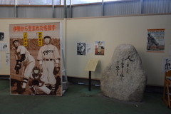 澤村栄治