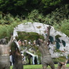 磯部　竹取神事　御田植祭