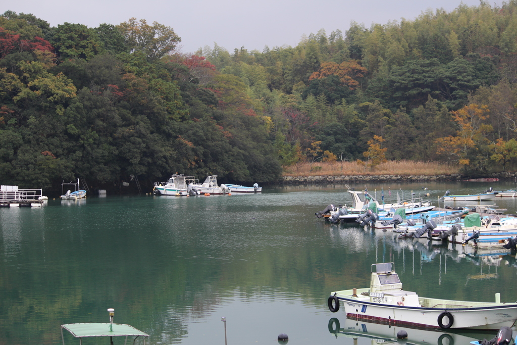 紅葉の浜