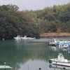 紅葉の浜