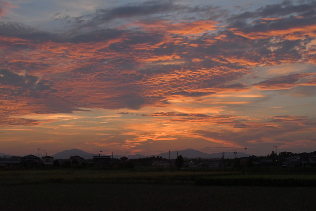 夕日
