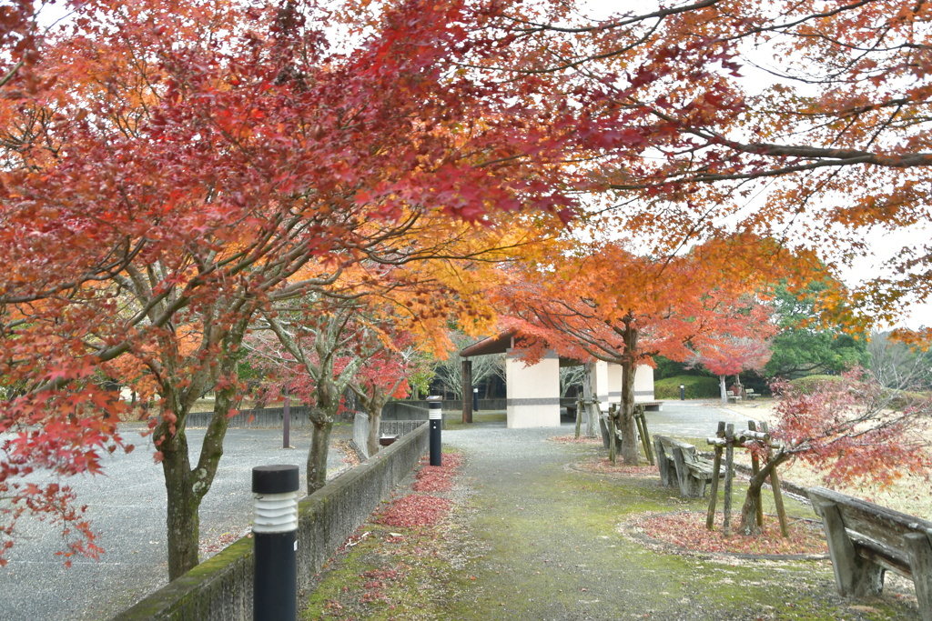 秋の　斎宮歴史博物館