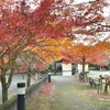 秋の　斎宮歴史博物館