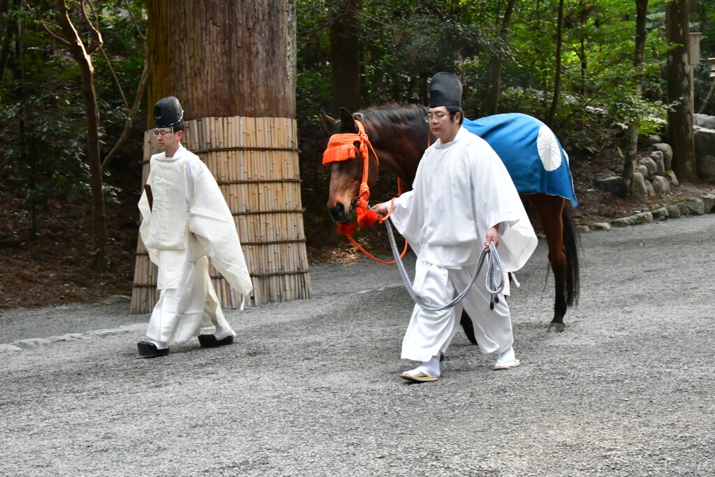 伊勢神宮　内宮　草新号見参