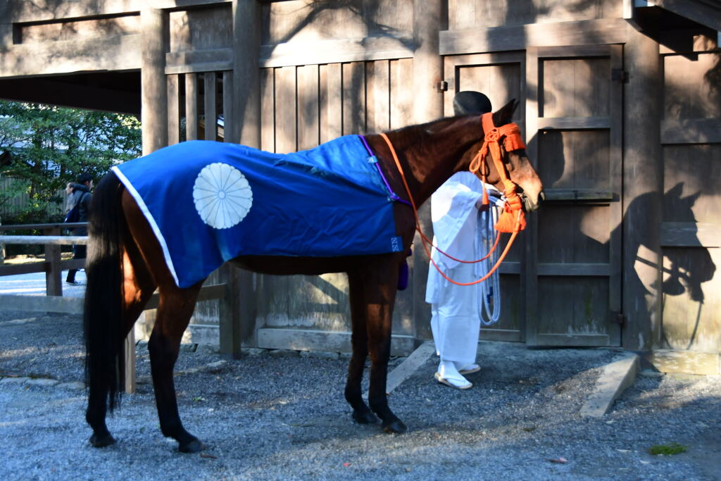 伊勢神宮　内宮　草新号見参