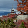 清水寺　紅葉