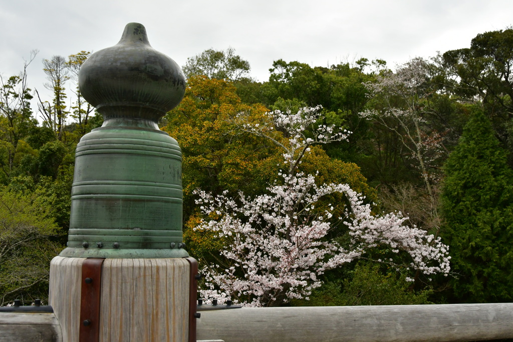 伊勢神宮内宮　春