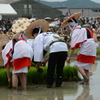 伊雑宮　御田植祭