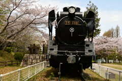 偕楽公園　蒸気機関車