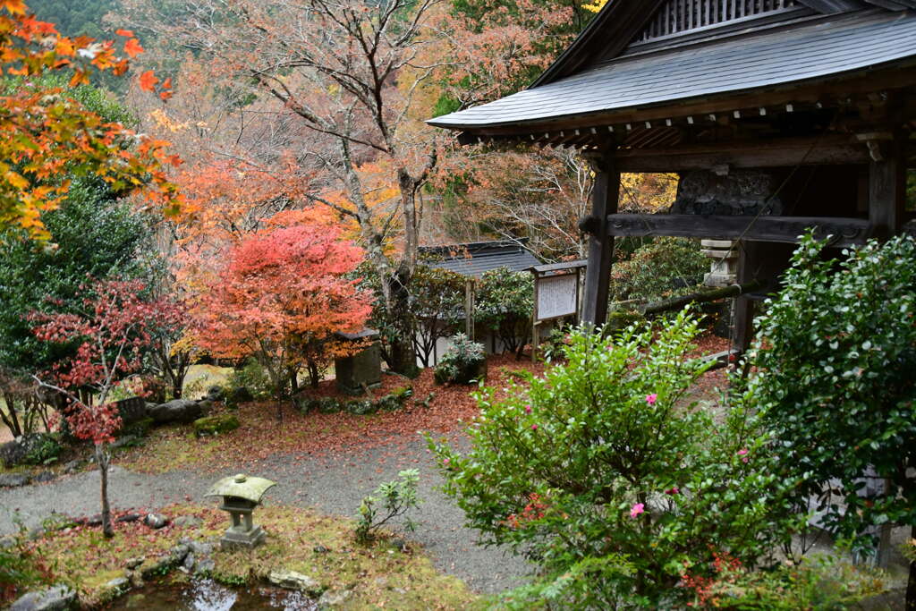 松阪　泰運寺