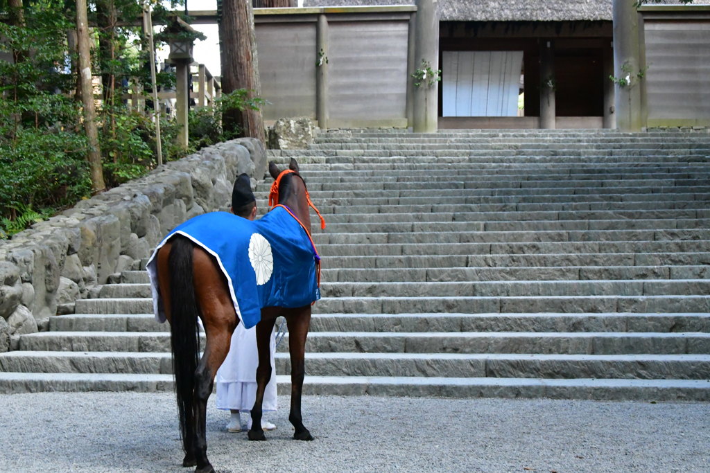 内宮　神馬