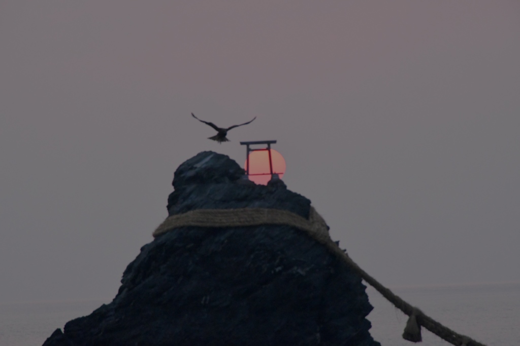 夫婦岩と鳥