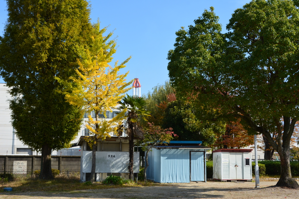 塩浜公園の紅葉