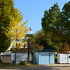 塩浜公園の紅葉