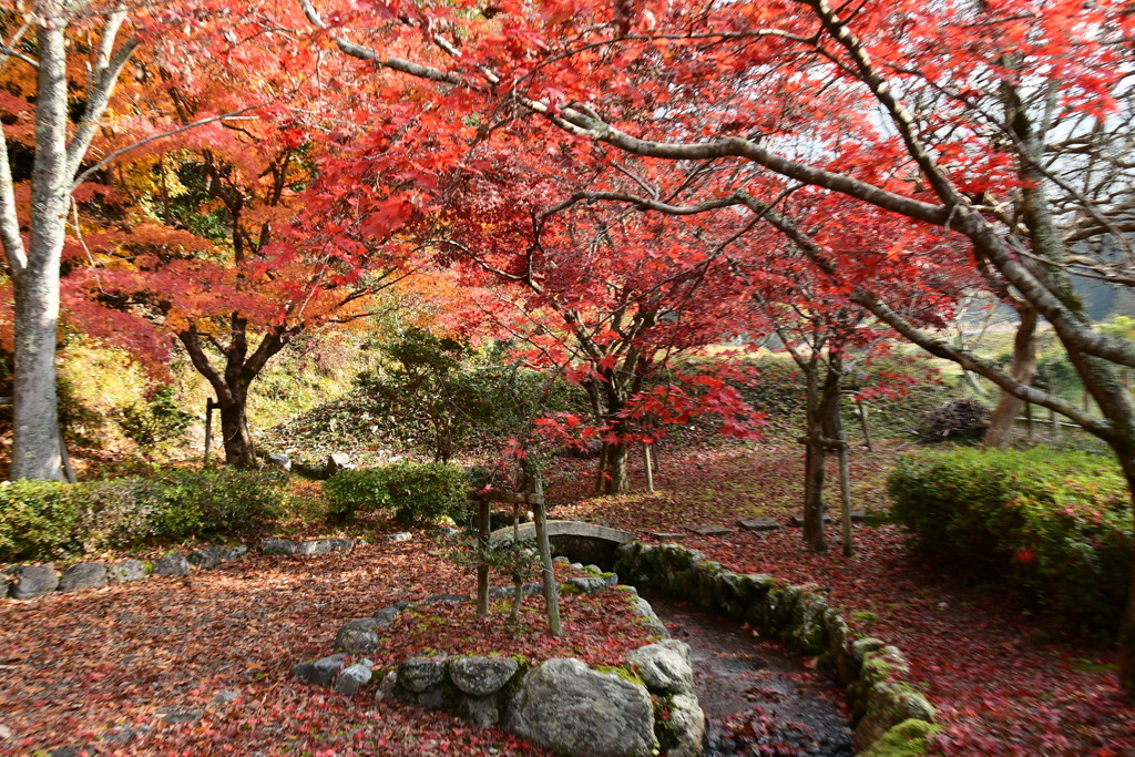 滋賀　石道寺　紅葉
