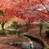 滋賀　石道寺　紅葉
