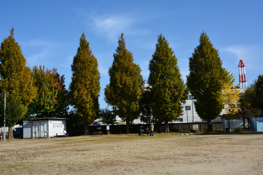 塩浜公園の風景