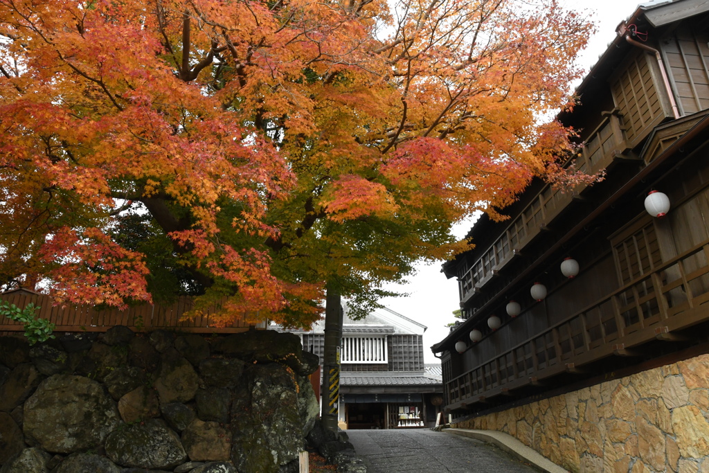 おはらい町通り　紅葉