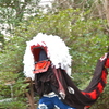 東大淀町　獅子舞