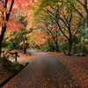 松阪　泰運寺　紅葉
