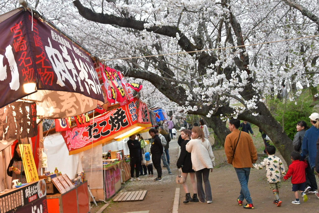 宮川堤