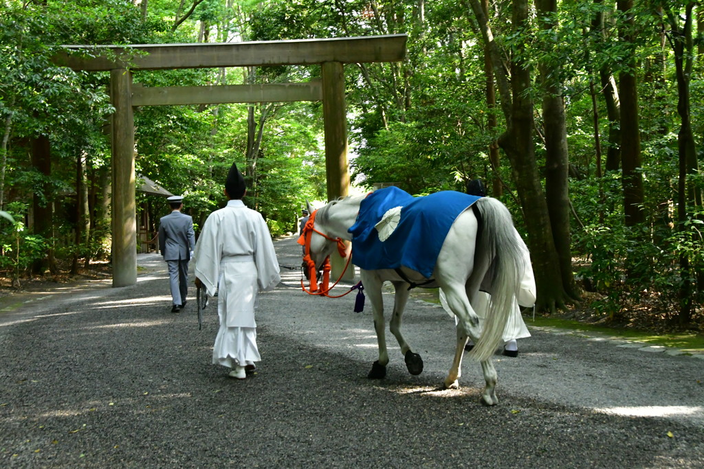 伊勢神宮 外宮 神馬 By まるネーム Id 写真共有サイト Photohito