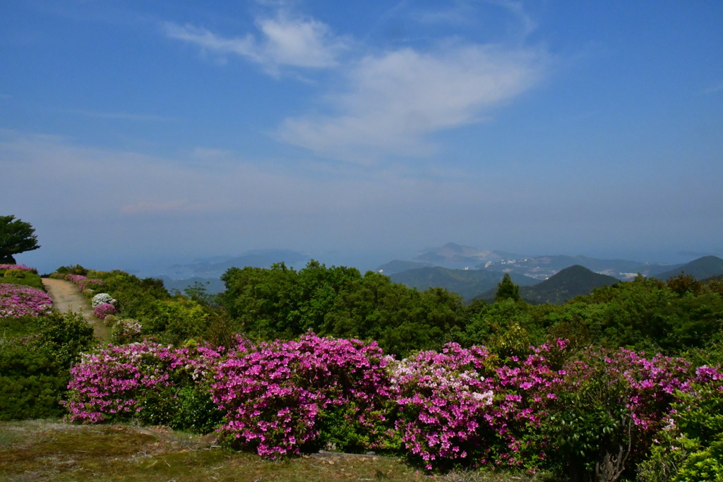 朝熊山　風景