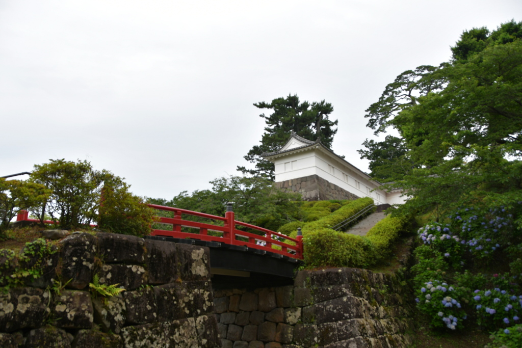 小田原城と紫陽花