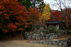 泰運寺　紅葉