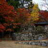 泰運寺　紅葉