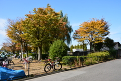 塩浜公園