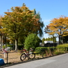 塩浜公園