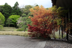 伊勢　神宮美術館