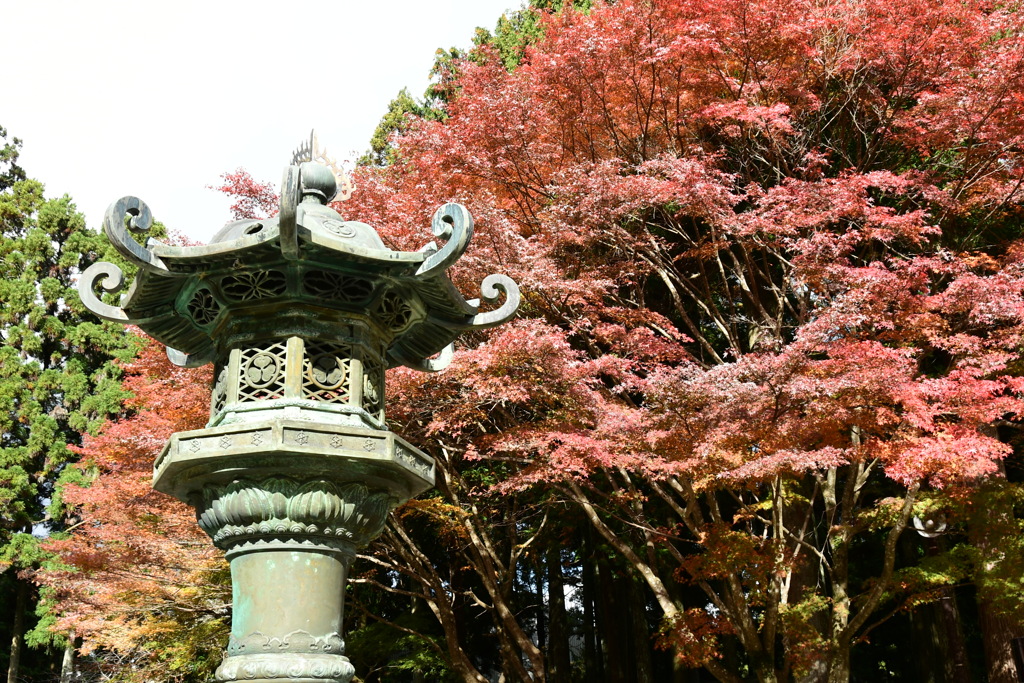 秋の延暦寺