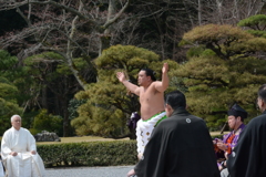 伊勢神宮　内宮　横綱土俵入り