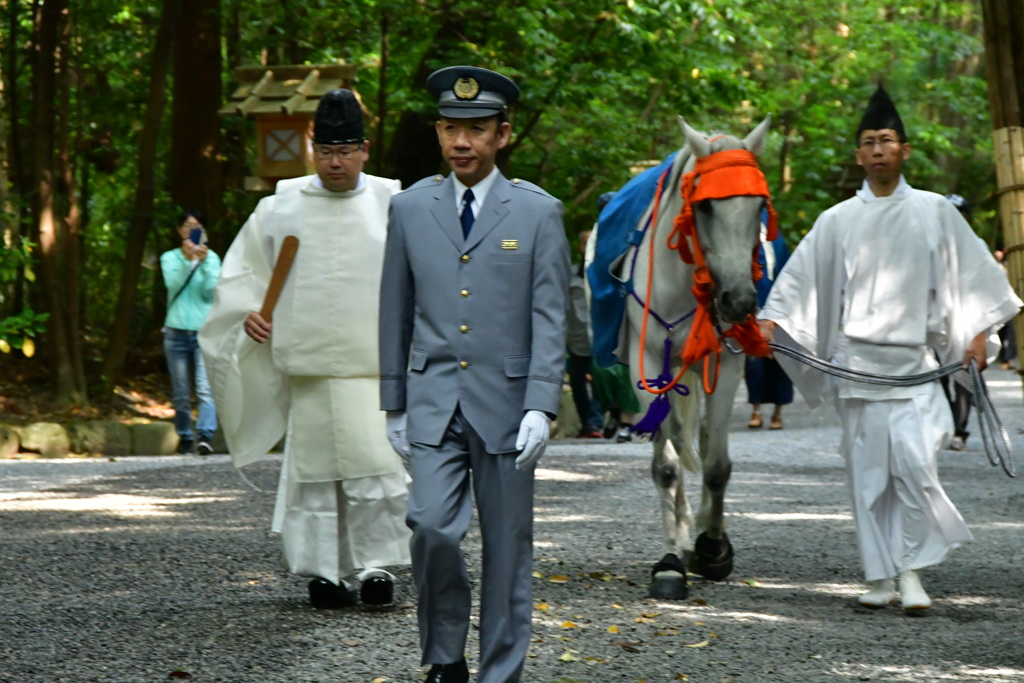 伊勢神宮　外宮　神馬