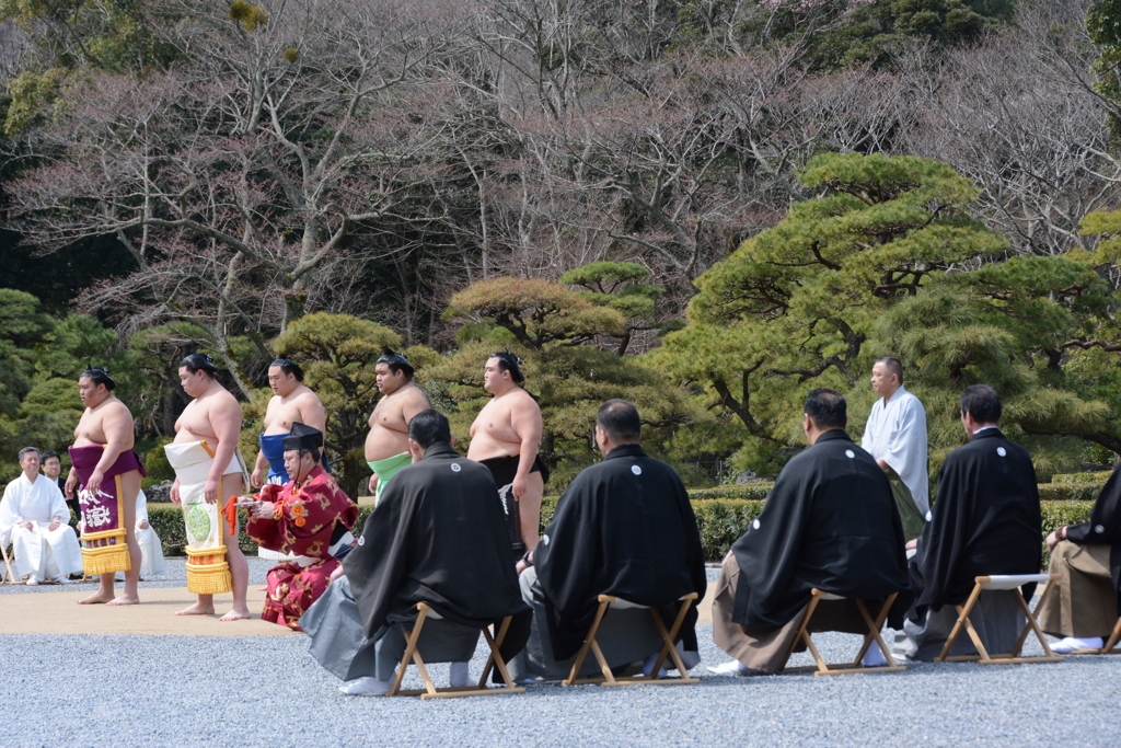 伊勢神宮　相撲　三役土俵入り