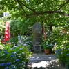波切　大慈寺と紫陽花