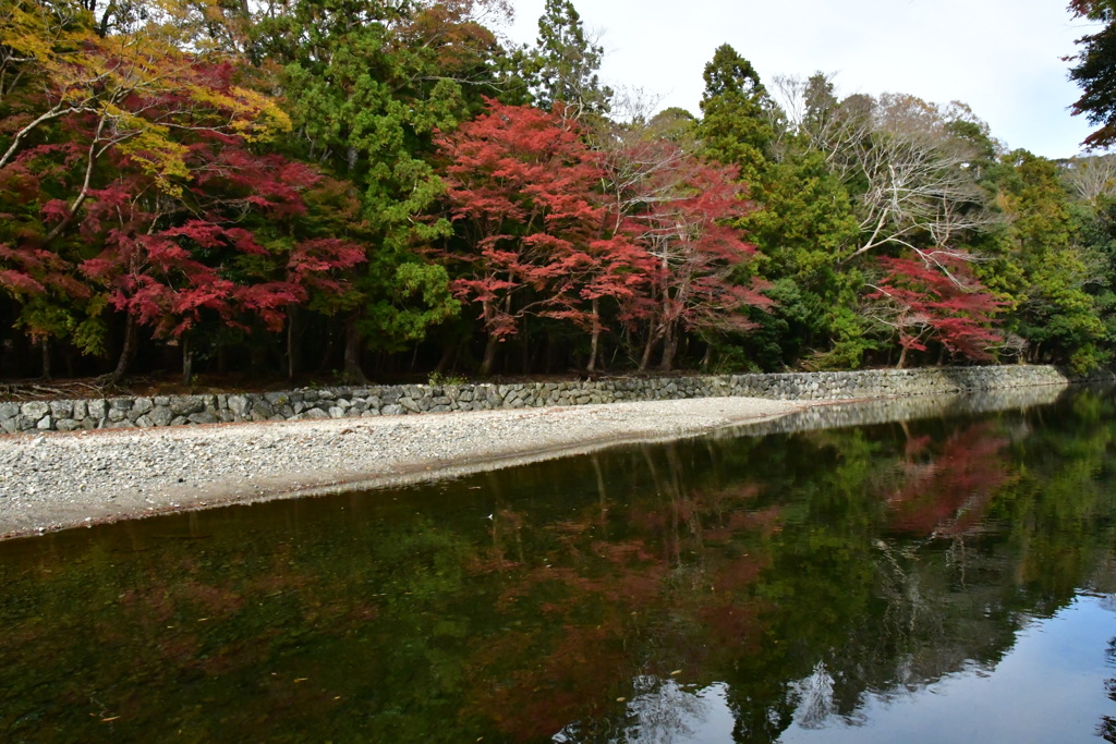 伊勢神宮　内宮　紅葉